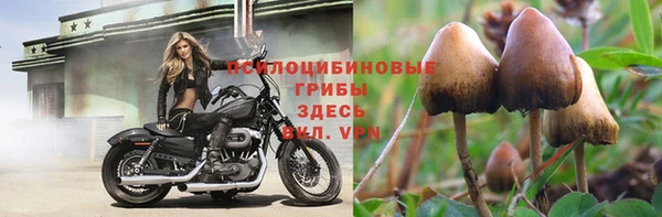 ешки Сясьстрой