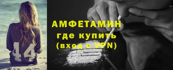 индика Тайга