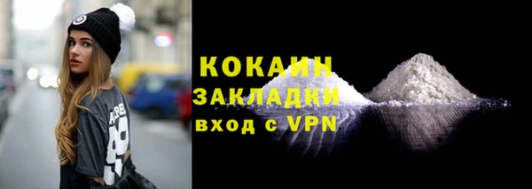 индика Тайга
