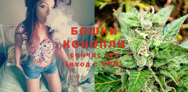ешки Сясьстрой
