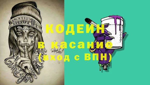 трава Тавда