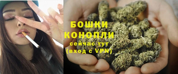 индика Тайга