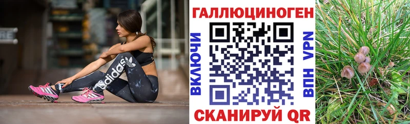 Псилоцибиновые грибы Cubensis  Билибино 